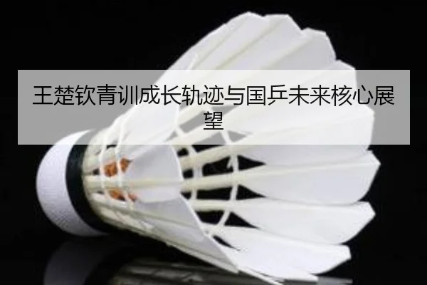 王楚钦青训成长轨迹与国乒未来核心展望
